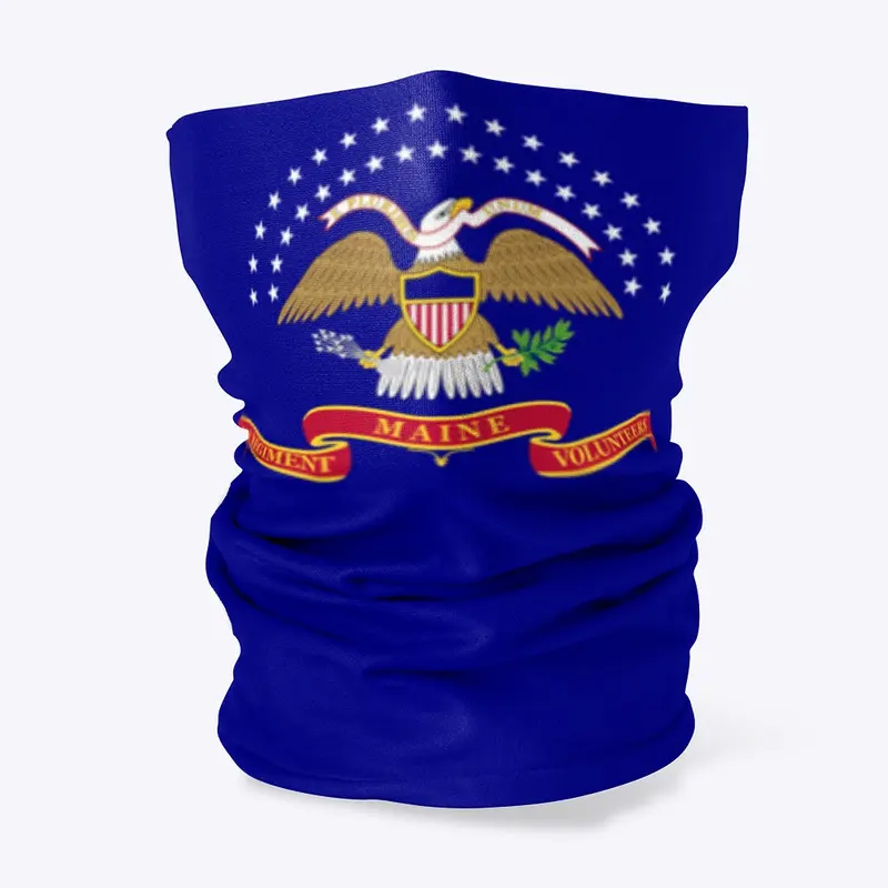 20th Maine Regiment (Civil War)